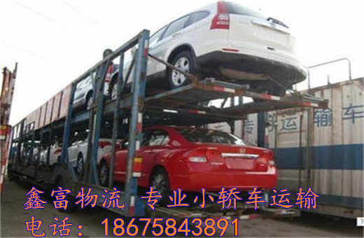 安徽利辛縣 安徽利辛縣